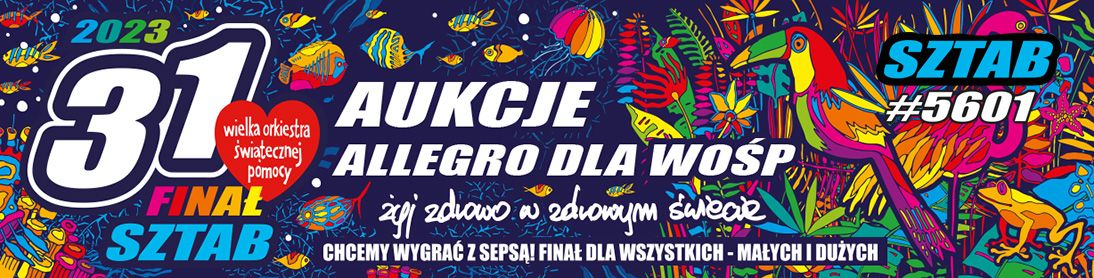 Baner reklamowy aukcje allegro na rzecz WOŚP