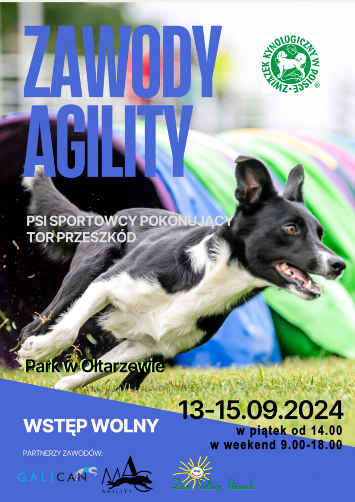 Plakat zapraszający na pokaz Psich Sportowców pokonujących tor przeszkód