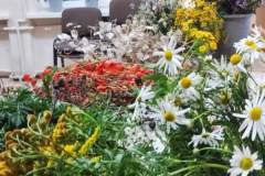 2025-11-16_Dyniowy-zawrot-glowy-warsztaty-na-dzien-dyni_28