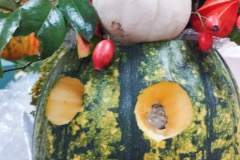 2025-11-16_Dyniowy-zawrot-glowy-warsztaty-na-dzien-dyni_47