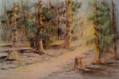 KAMPINOS