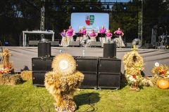 20220828-IMG_4786