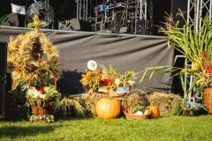 20220828-IMG_4872