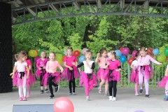 IMG_8003