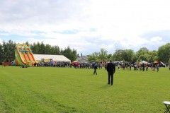 IMG_8117