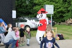 IMG_8498