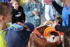 IMG_4047