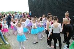 IMG_4071