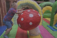 IMG_2526