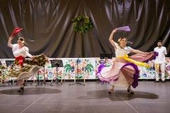 IMG_3007