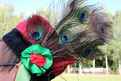 MFF2024_Dzien-I_Oltarzew_047