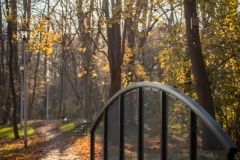 daniel-wdowiak-zdjecie-nr-11