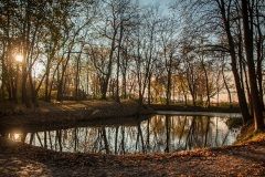 daniel-wdowiak-zdjecie-nr-21