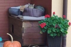 karolina-topolska-IMG_20211030_164734