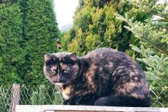 karolina-topolska-IMG_20211030_164819