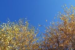 weronika-kuryla-Jesien-na-niebie1