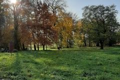 zofia-cendrowska-20211024_150325