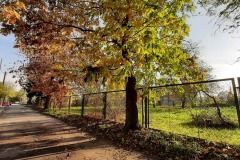 zofia-cendrowska-20211024_150711