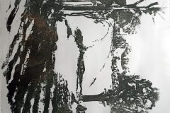 IMG_20250818_065303