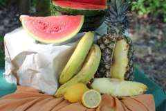 www_Majowka_Bronisze_01