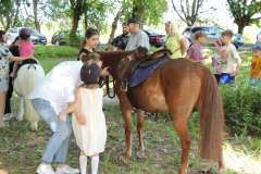 www_Majowka_Bronisze_02