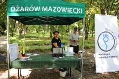 www_Majowka_Bronisze_12