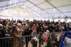 408581811_864642575665765_5579408381726907274_n