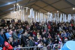 408786259_864643875665635_8519532422334254301_n