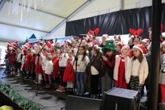 408798127_864641872332502_1918920439054676231_n