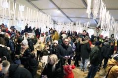 408806646_864643642332325_2215046422129521998_n