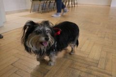 IMG_0383