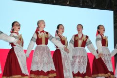 IMG_5917