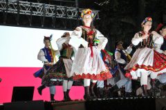 IMG_6131
