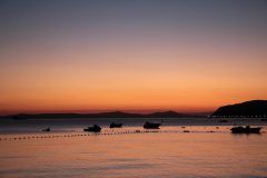 IMG_6272