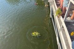 dni_ozarowa_2023-177