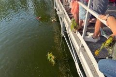 dni_ozarowa_2023-178