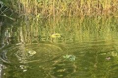 dni_ozarowa_2023-183