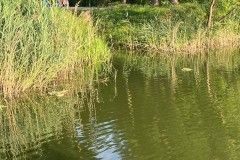 dni_ozarowa_2023-185