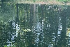 dni_ozarowa_2023-186